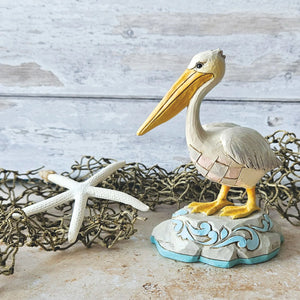 Shoreline Majesty Pelican