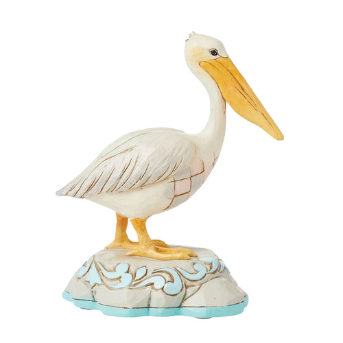 Shoreline Majesty Pelican