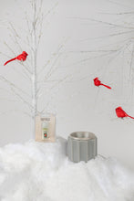 Load image into Gallery viewer, Comfort &amp; Joy Home Fragrance Oil