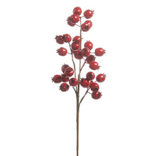 Load image into Gallery viewer, Matte Red Berry Pod Spray