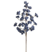 Load image into Gallery viewer, Blue Cluster Berry Spray