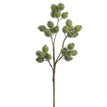 Load image into Gallery viewer, Iced Green Berry Spray