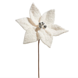 SILVER BELL SHERPA WHITE POINSETTIA