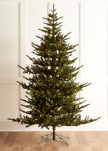 Load image into Gallery viewer, Silverton Spruce Tree with Brilliant Color Change LED Lights 2.8m