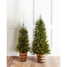 Load image into Gallery viewer, Pre-Lit Norway Spruce Tree in Barrel Pot - 160cm