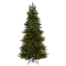 Load image into Gallery viewer, Pre-Lit Norway Spruce Tree - 2.4m