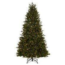 Load image into Gallery viewer, Pre-Lit Douglas Fir Tree - 2.4m