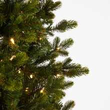 Load image into Gallery viewer, Pre-Lit Douglas Fir Tree - 3.8m