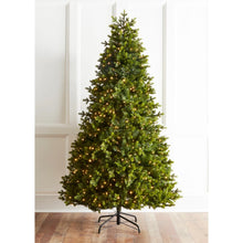 Load image into Gallery viewer, Pre-Lit Douglas Fir Tree - 2.4m