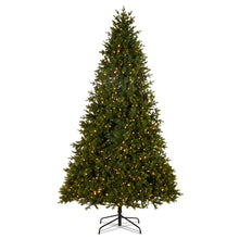 Load image into Gallery viewer, Pre-Lit Douglas Fir Tree - 2.8m