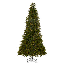Load image into Gallery viewer, Pre-Lit Douglas Fir Tree - 3.8m