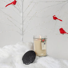 Load image into Gallery viewer, Comfort &amp; Joy Large Jar Candle