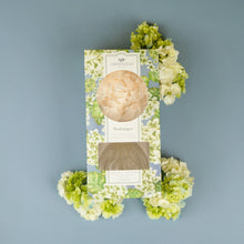 Load image into Gallery viewer, Hydrangea Flower Diffuser