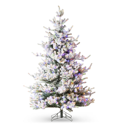Snowy Deluxe Rocky Mountain Spruce with Brilliant Color Change LED's 2.8m