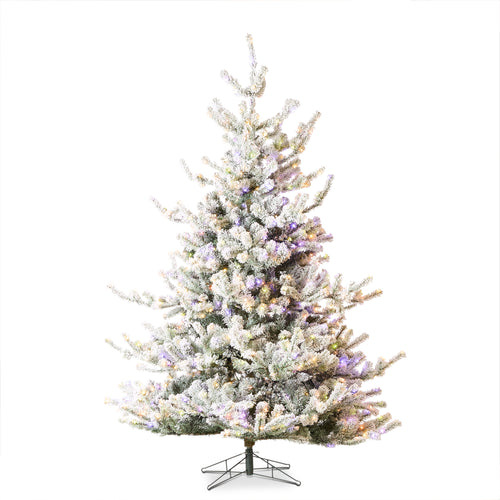 Snowy Deluxe Rocky Mountain Spruce with Brilliant Color Change LED's 2.4m