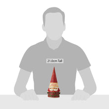 Load image into Gallery viewer, Naughty/Nice Two-Sided Gnome