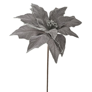 Silver Grey Velvet Poinsettia