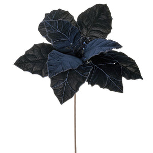 Blue Velvet Poinsettia