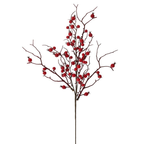 Red Berry Branch