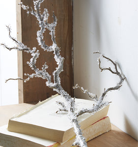 Iced Branch