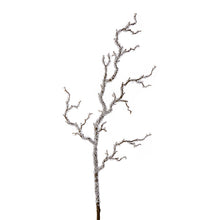 Load image into Gallery viewer, Iced Branch