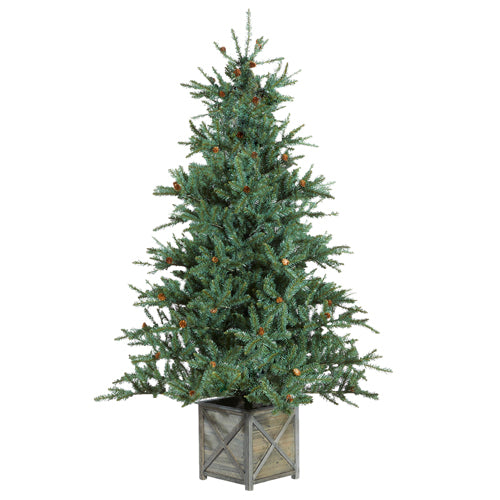 Green Littleton Spruce Christmas Tree In Box Stand 2m